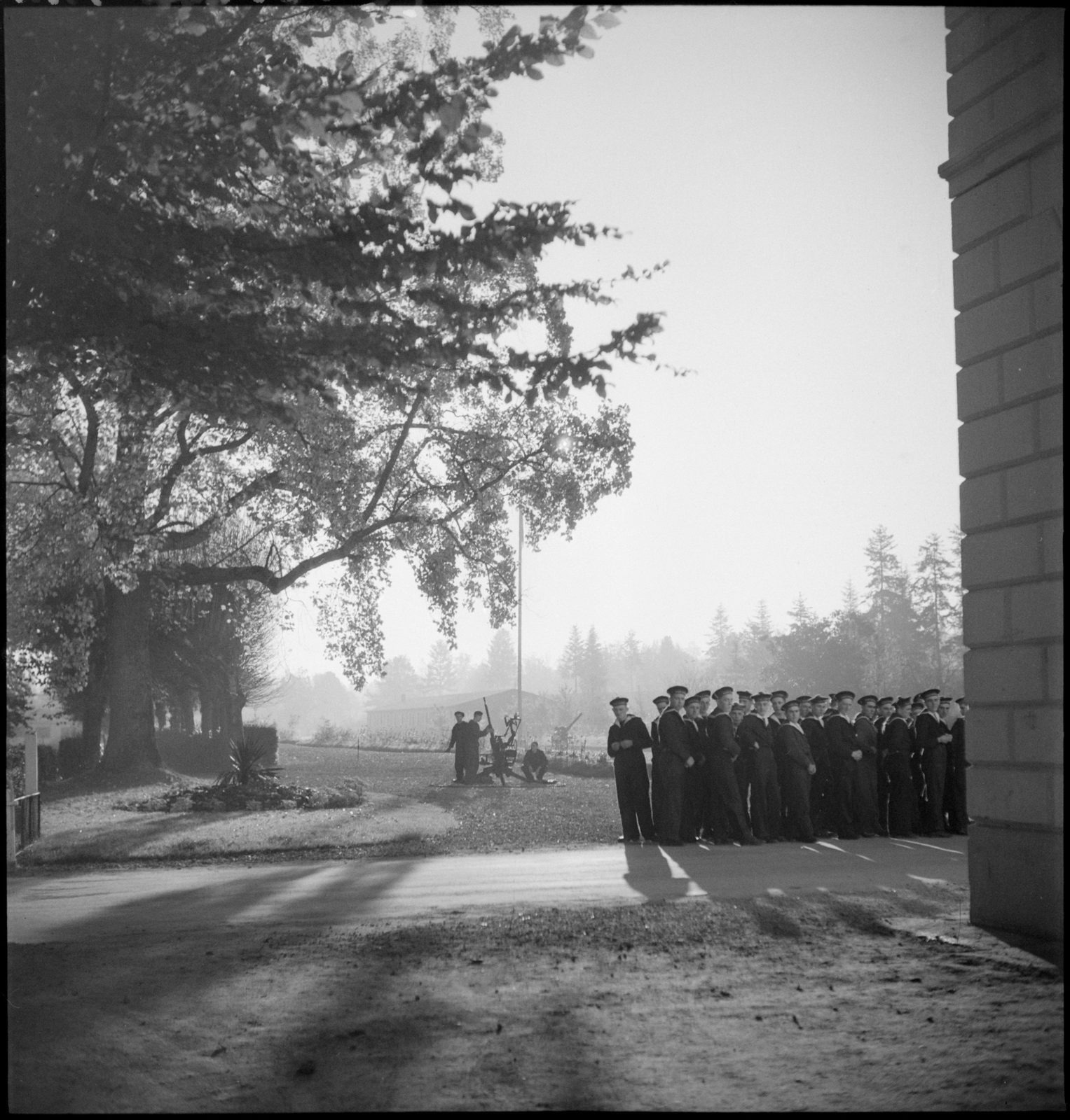 Rassemblement sous les arbres